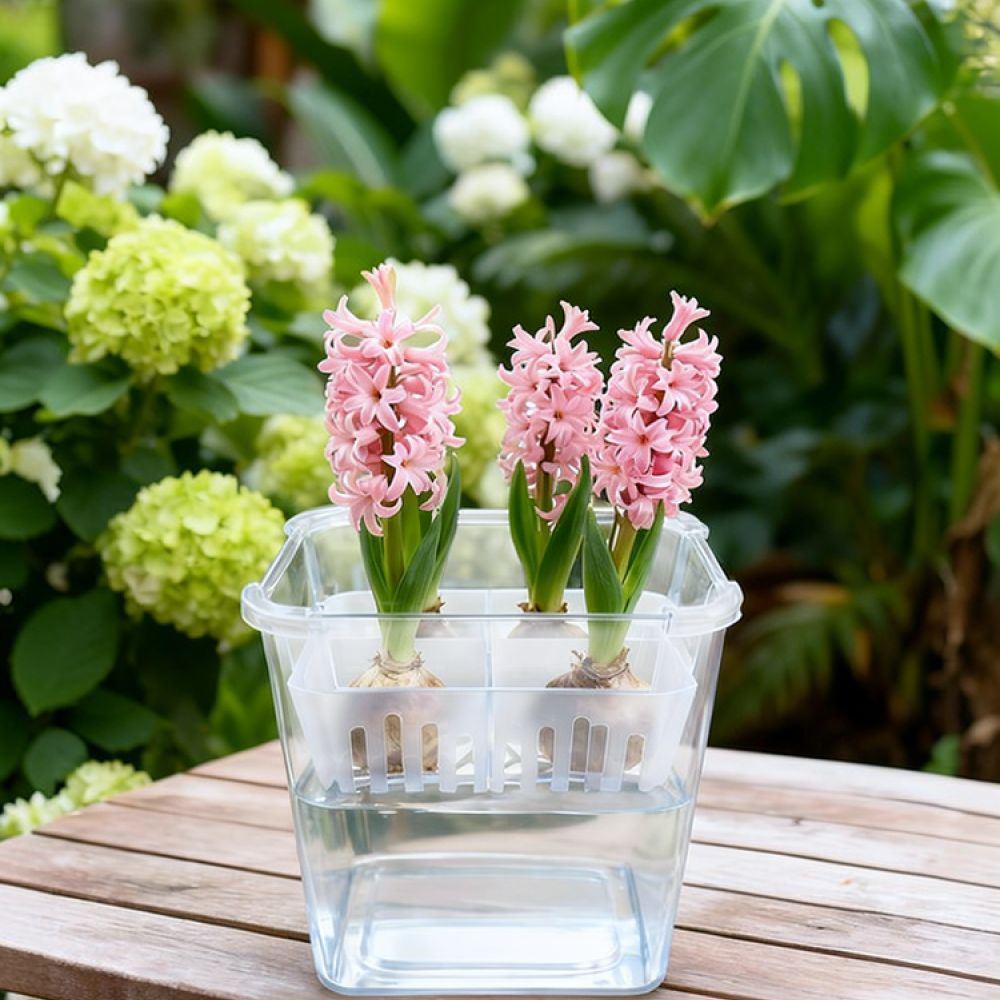 Plant Pot - Lale ve Zambak Bulunduğunda Kullanılabilen, Şeffaf,