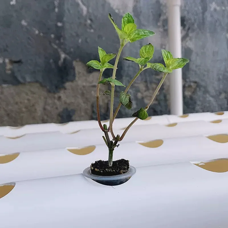 Hydroponic Kit - Topraksız Yetiştirme Sistemi Seti, PVC Borulu