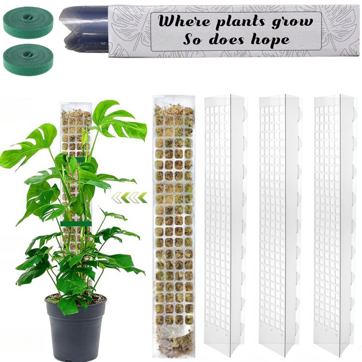 Yosun Direği Plastik Bitki Sta - Indoor Herb Garden incelemesi ve fiyatı