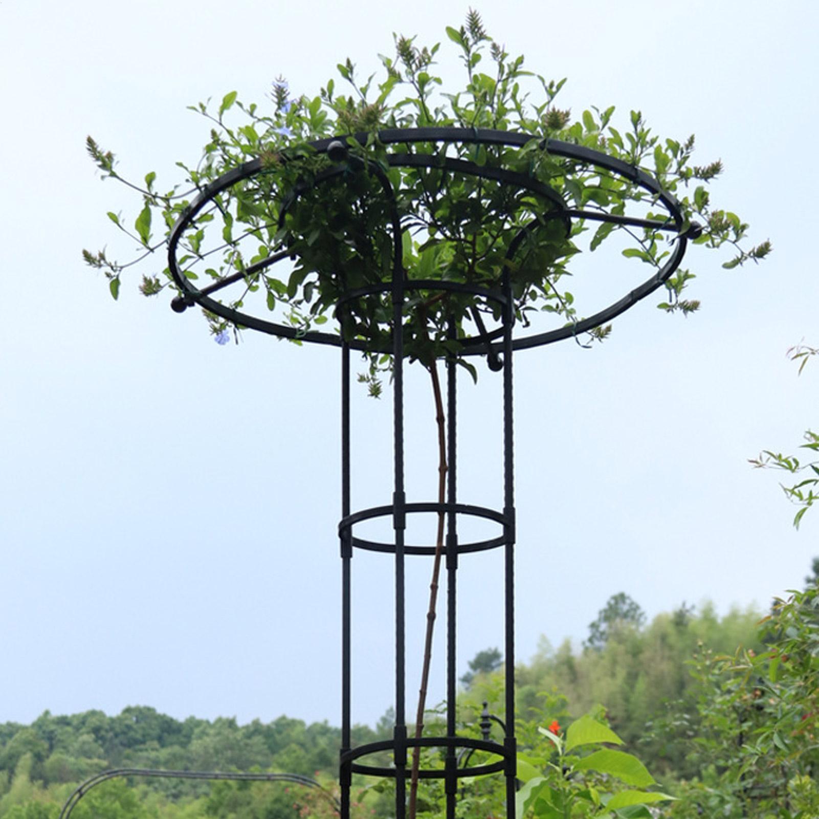 Bahçe Çardağı Şemsiye Kulesi B - Vertical Planter incelemesi ve fiyatı